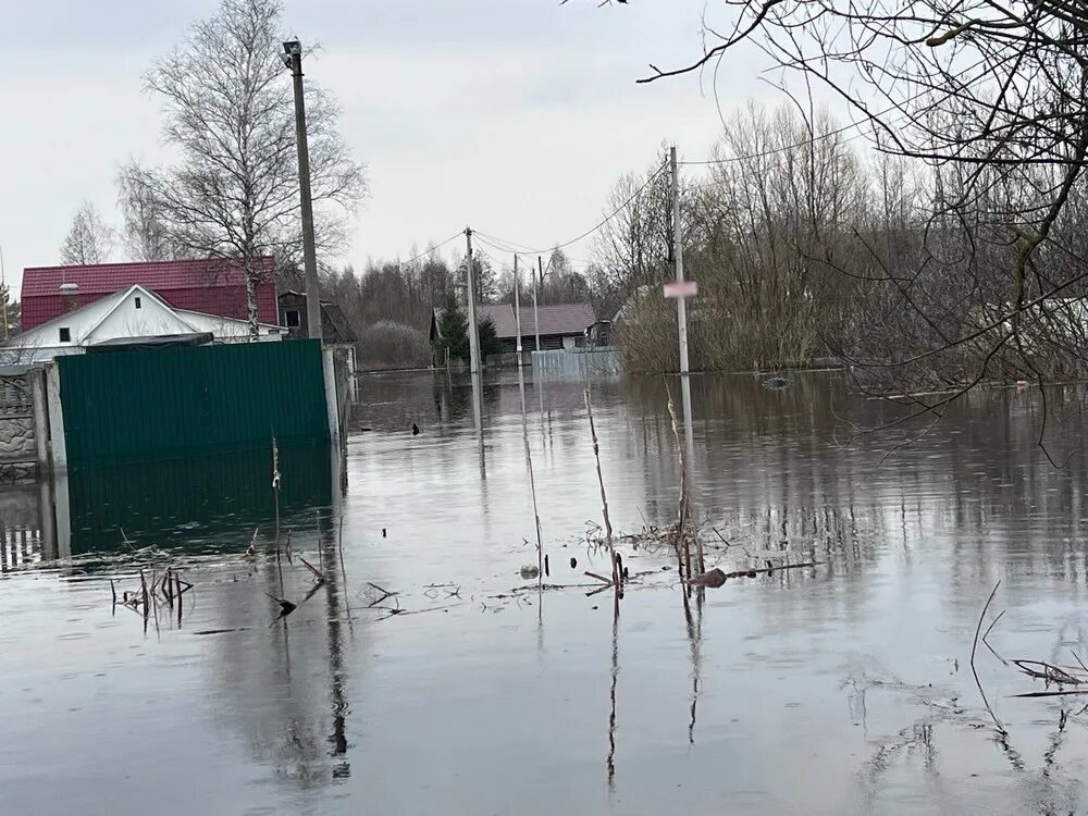 Радица-Крыловка Брянск. Половодье Брянск 2023. Паводок Брянск 2023 Радица Крыловка. Радица-Крыловка Брянск паводок.