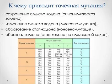 Точечная мутация