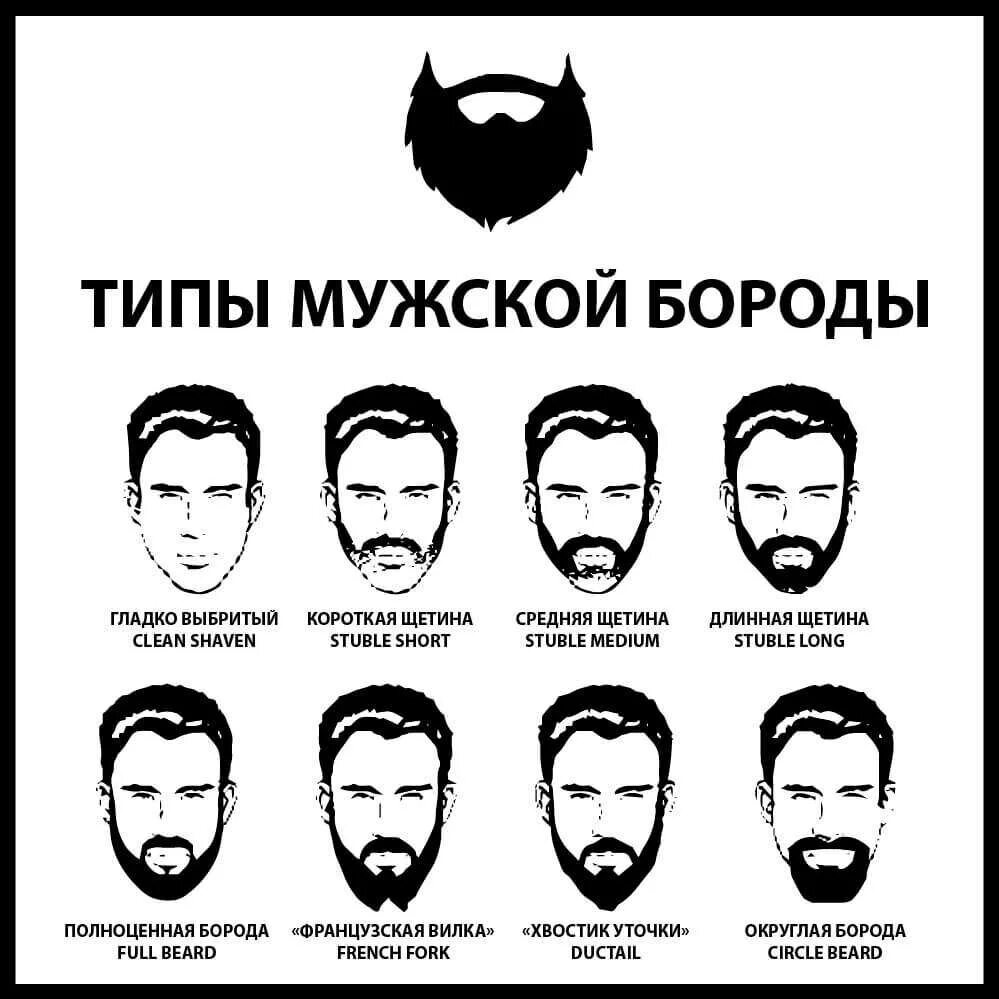 Вырастет какое лицо. Виды бороды. Типы стрижки бороды и усов. Название стрижек бороды. Борода стрижка форма.