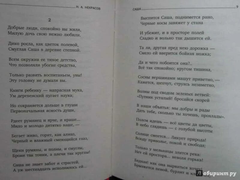 Стих Саша Некрасов. Саша отрывок из поэмы Некрасова. Стихи Некрасова.