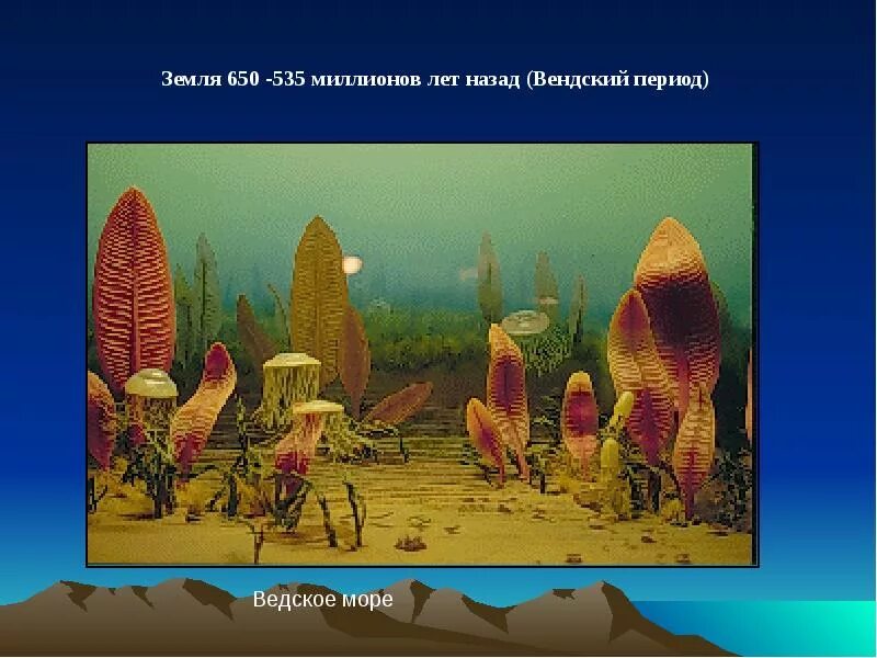 Как земля выглядела 500 миллионов лет назад Pin on Oertijdmuseum inspiratie