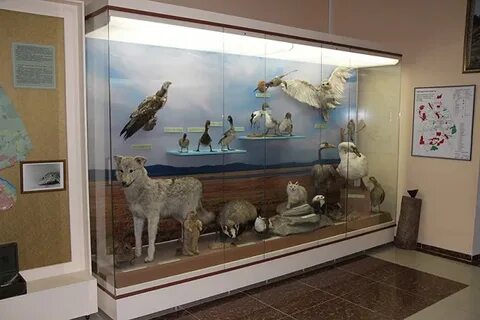 Областной историко краеведческий музей