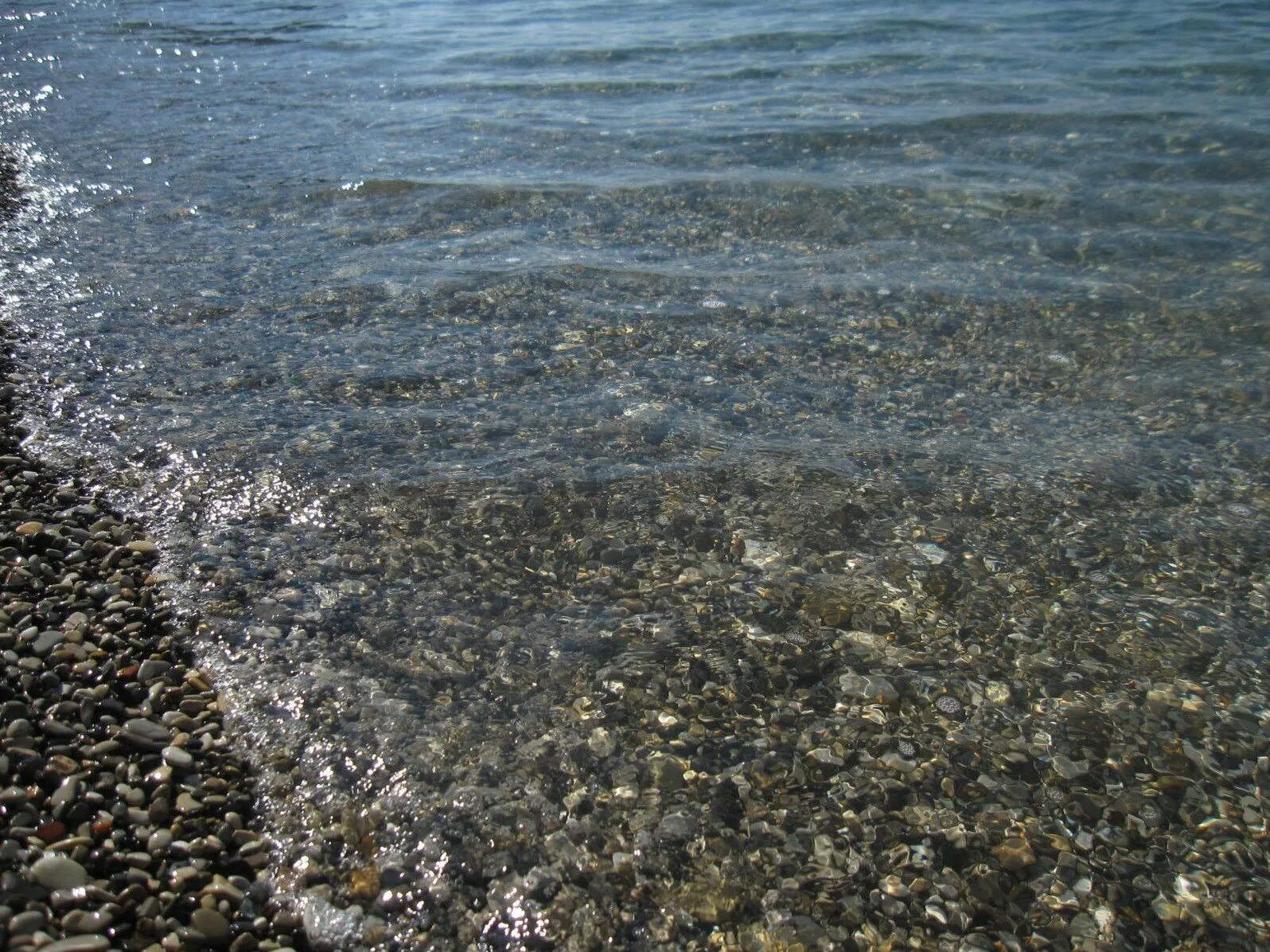Форумы черном море. Море 2015. покажи фотографии черного моря. черное море реальные фото. дары черного моря.