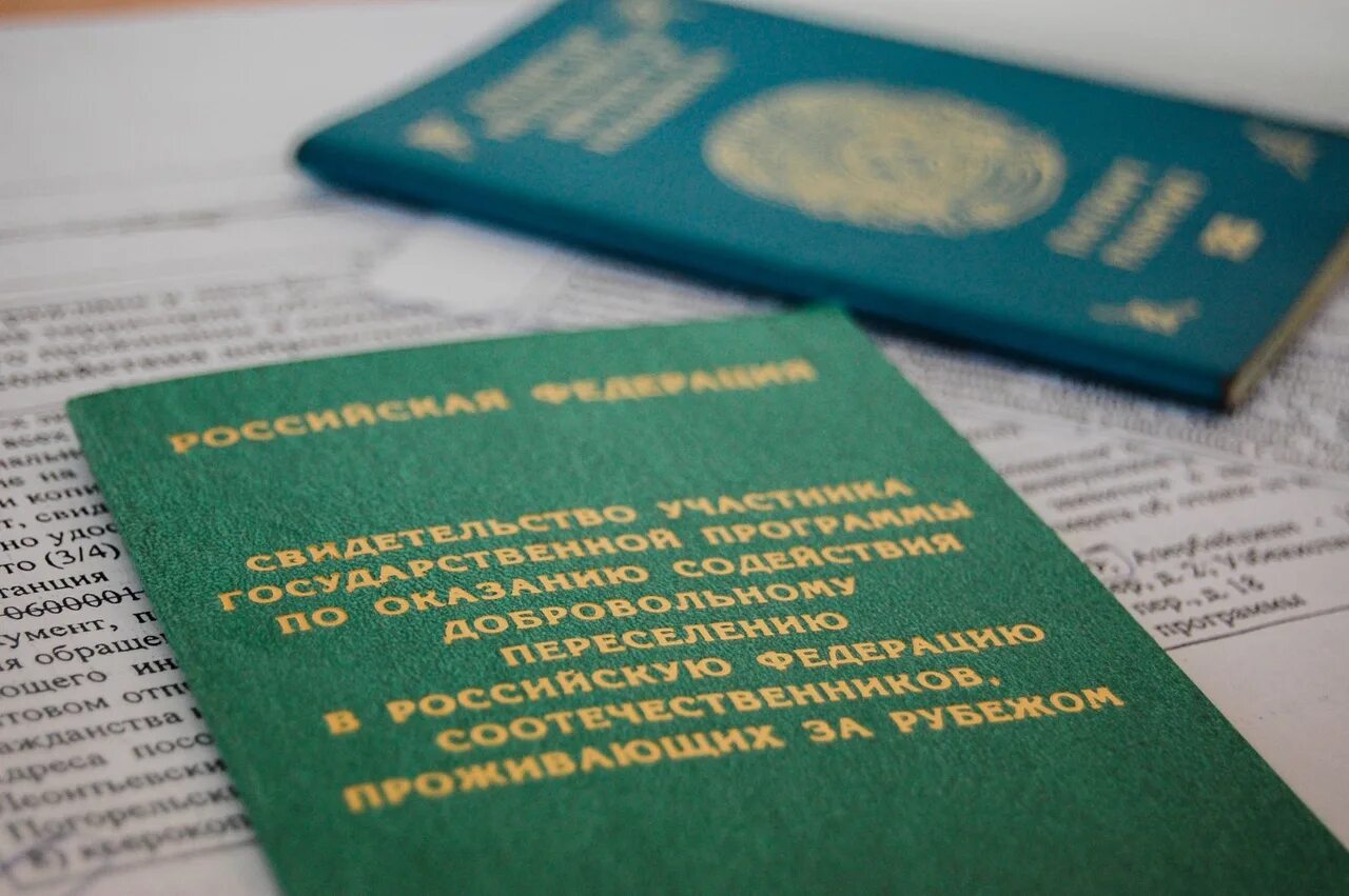 Миграционное содействие