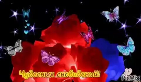 Спокойной ночи красивые с цветами мерцающие картинки