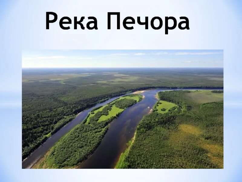 Тип реки печора. Река печора республика коми. река печора картинки. река печора чистая. река печора с высоты.