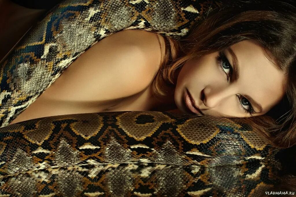 Девушка питона. Фотосессия со змеями. Девушка змея. Красивая девушка со змеей.