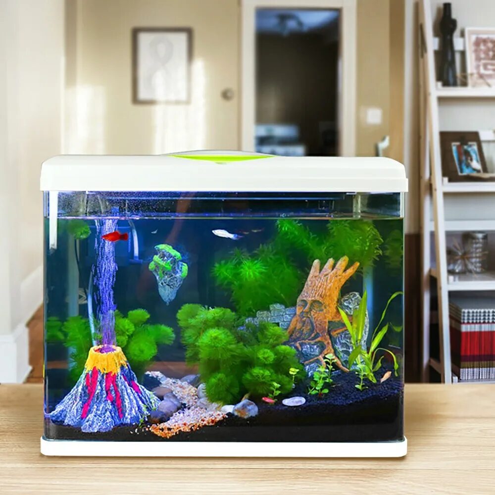 Аквариум led desktop Jellyfish Tank. Аквариум Goldfish 50. Небольшой аквариум с рыбками. Маленький аквариум. Детский аквариум купить