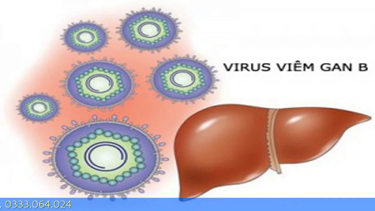 Вирусный гепатит б. Вирус гепатита в.