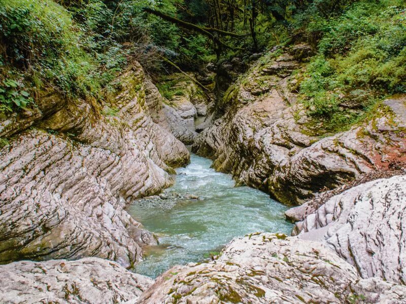 Самшитовая роща каньон псахо. Каньон псахо сочи. Каньон псахо в адлере. Каньон псахо сочи. Экскурсия каньон псахо.