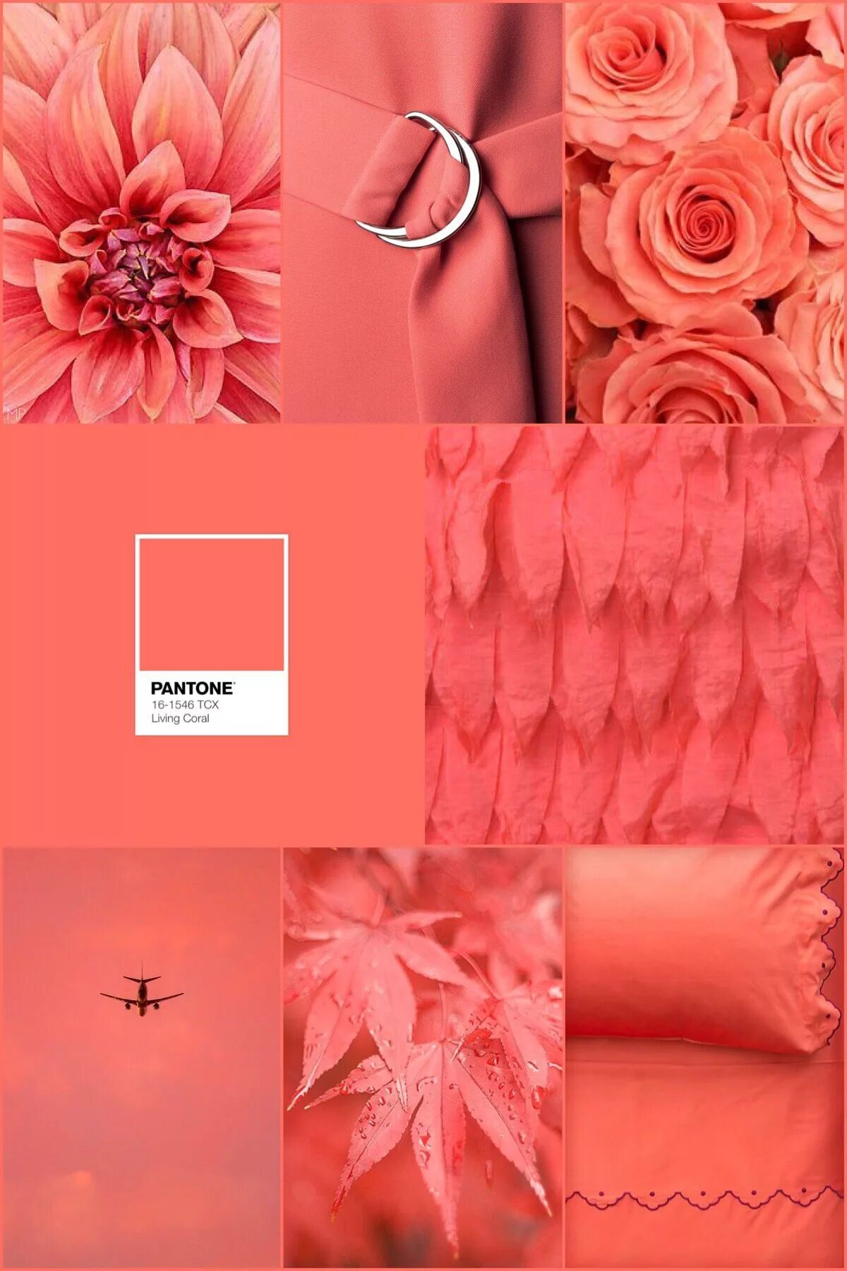 Coral цвет. Палитра пантон неон розовый коралловый. Коралловый цвет. Пантон 2018. Лососево розовый цвет.