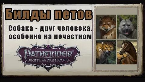 Pathfinder wrath of the righteous билды