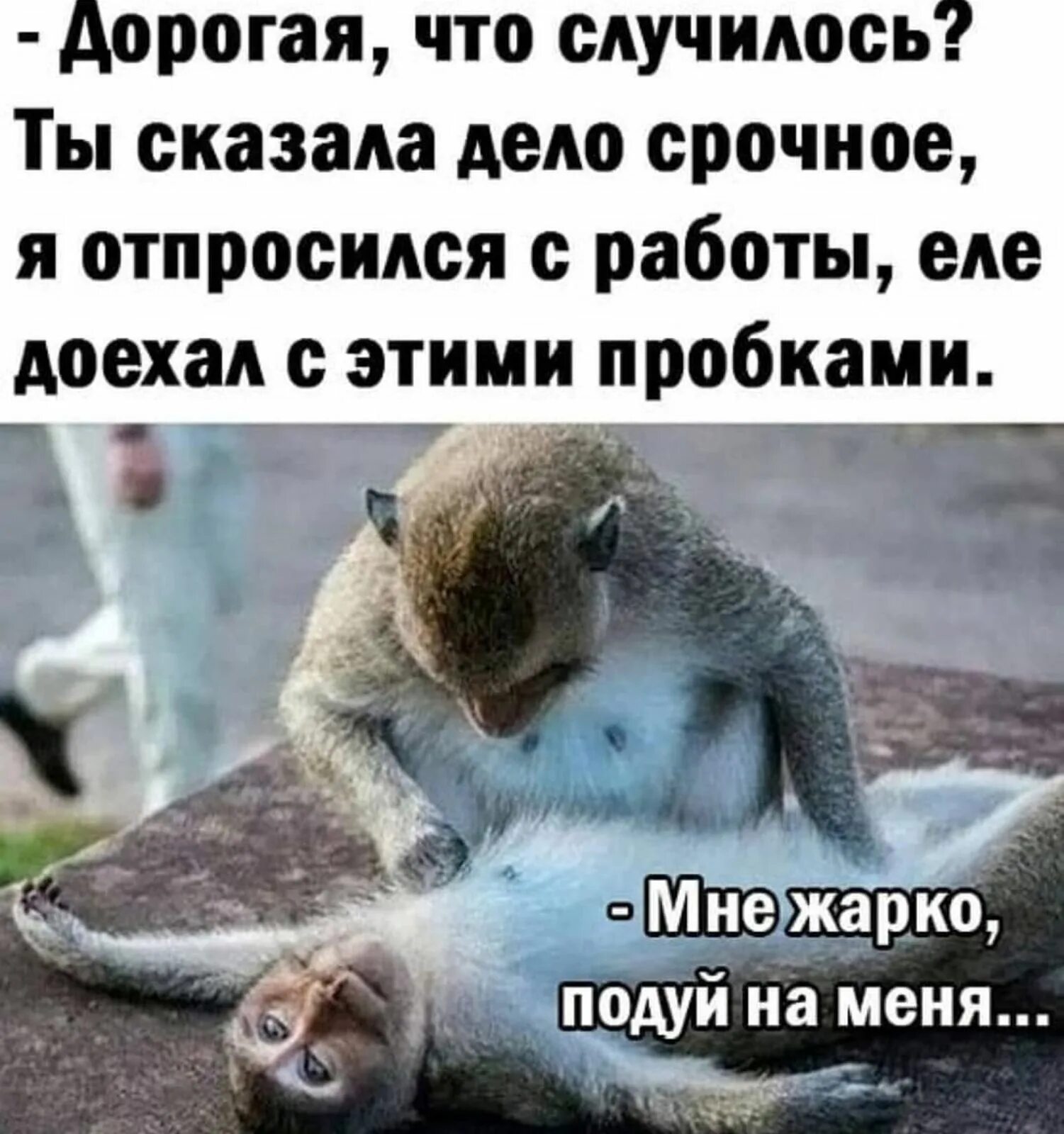 Что она такая дорогая. Стихи мужу. Золотые фразы о жизни. Стихотворение для любимого мужа. Что она такая дорогая.