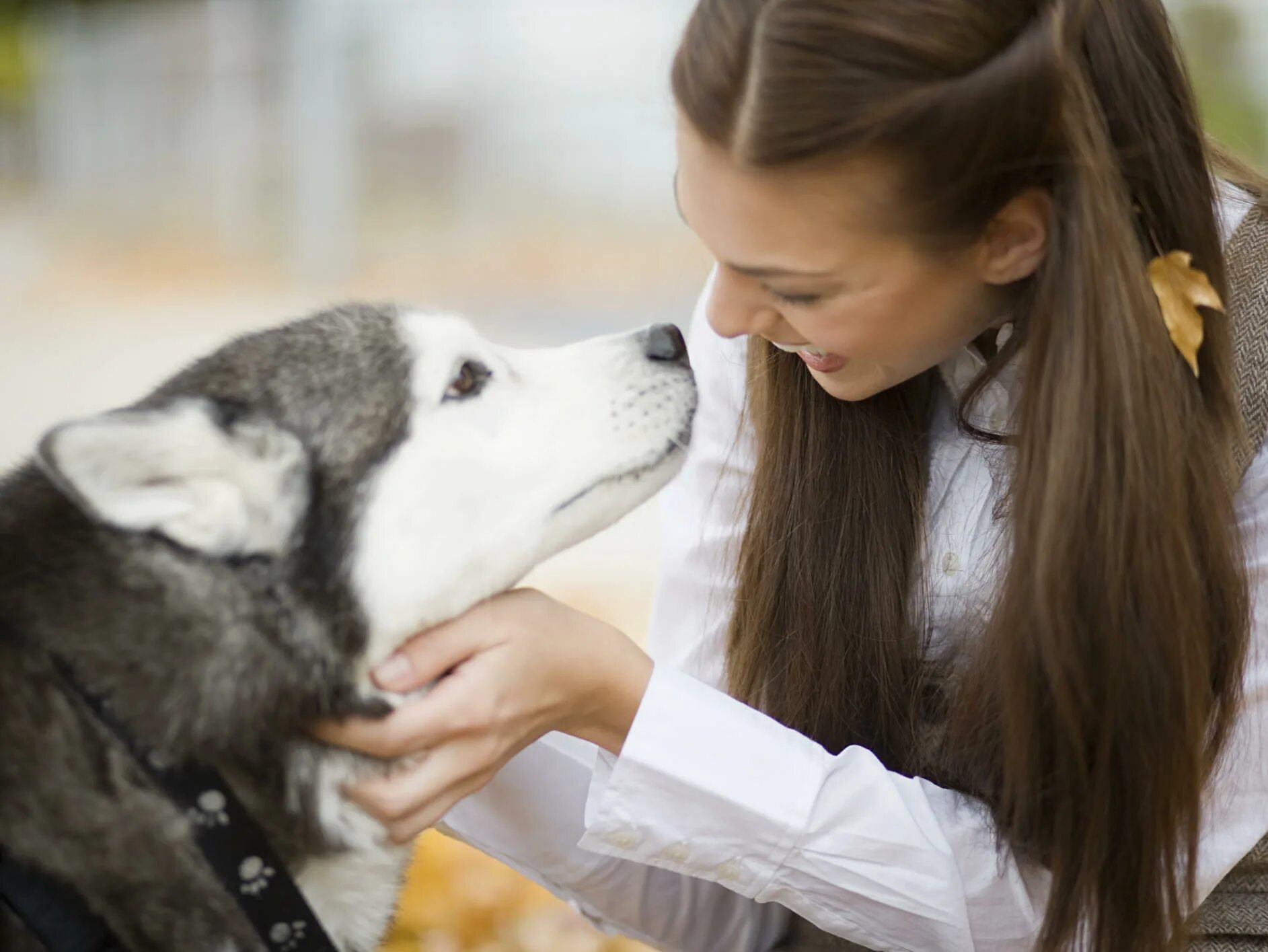 Woman 3 dog. Девушка гладит собаку. Человек гладит собаку. Ласка собака. Собака которую гладят.