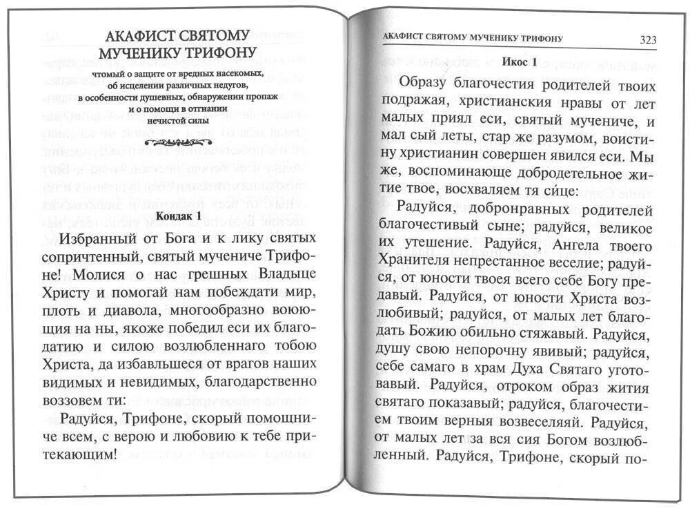 Акафист св николаю читать. Молитва св мученику трифону. акафист святому трифону. акафист молитва трифону мученику. акафист св трифону.