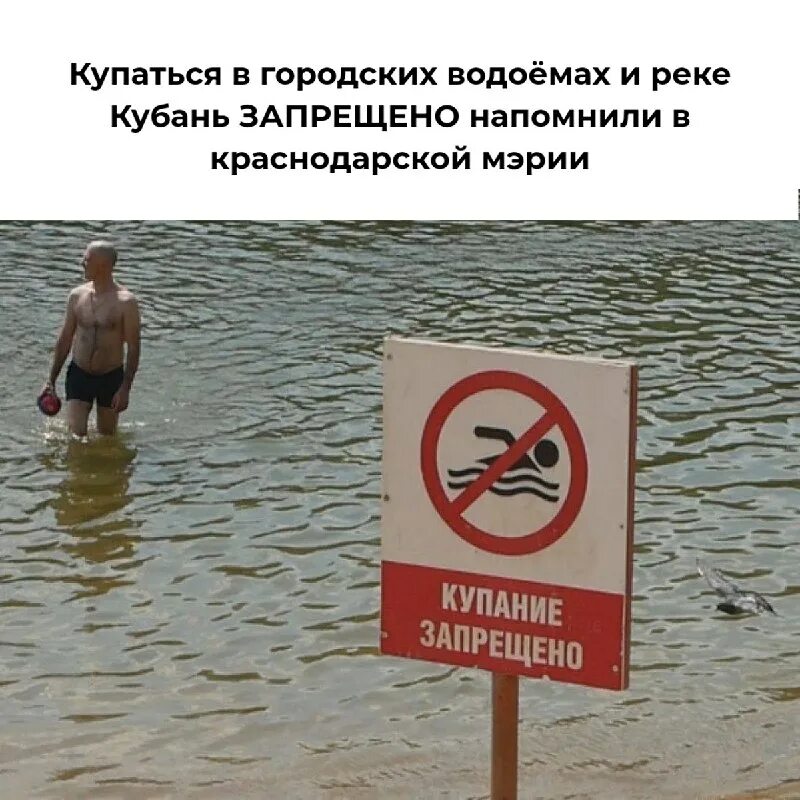 Запрещаю запрещать. Знак «не мусорить». Запрещающий знак купание запрещено. Запрещающие знаки. Табличка выгул собак запрещен штраф 1000 рублей.