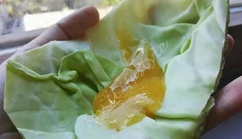 Компресс из листа капусты