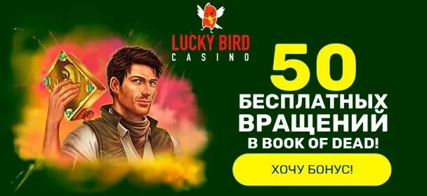 Lucky bird casino luckybird casino net ru. Лаки Бердс казино. Bird казино. Bierd казино птички. Промокод Lucky Bird Casino.