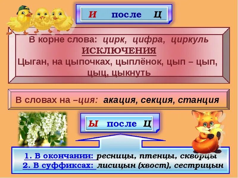 Цыган цыпленок слова исключения. Цы-Ци правило. Слова исключения цыпленок цыган на цыпочках. Стих про цы и Ци.