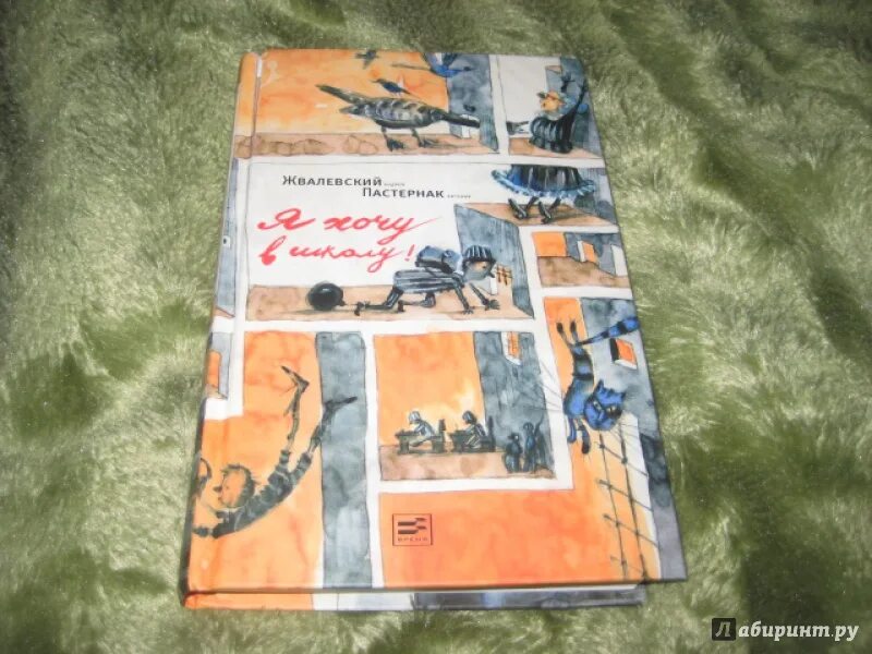 Книга я хочу в школу жвалевский. Книга я хочу в школу жвалевский