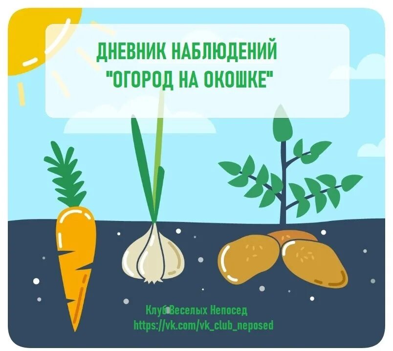 Календарь наблюдения за ростом гороха в детском саду. Дневник роста растений. Календарь наблюдений за растениями. Наблюдение за ростом огурца таблица. Дневник наблюдений в детском саду.