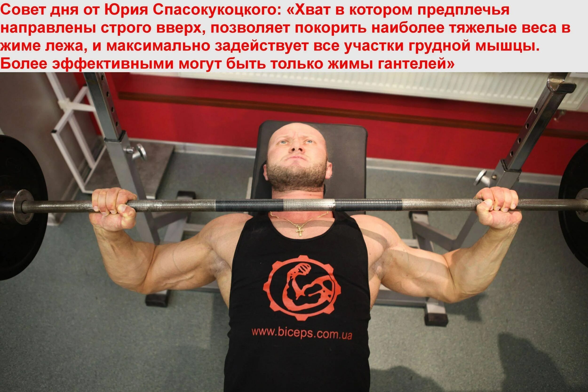 Сколько жмешь