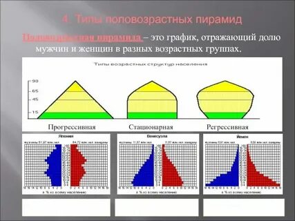 Прогрессивная структура населения страны