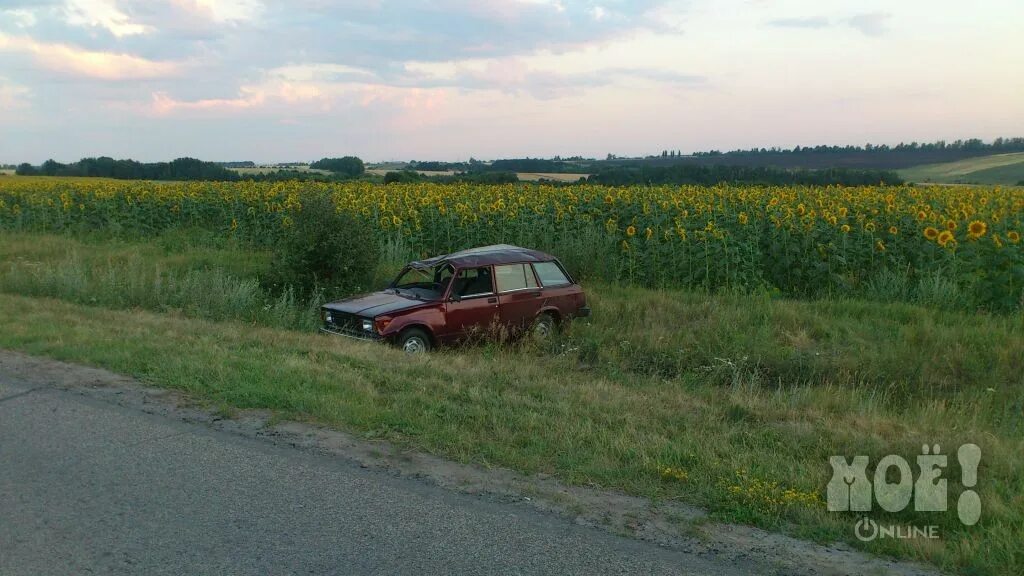 О ветеранах. Погода жабское белгородская. Жабская оош. Погода жабское белгородская. Жабское белгородская область глава поселения.