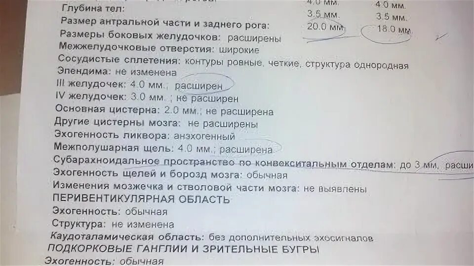 Боковые желудочки головного мозга у плода норма. Норма узи головного мозга в 6 месяцев. Расширение боковых желудочков головного мозга у новорожденных норма. Боковые желудочки норма у детей. Нейросонография новорожденных нормы 1.