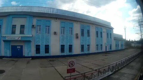 Небель иркутская