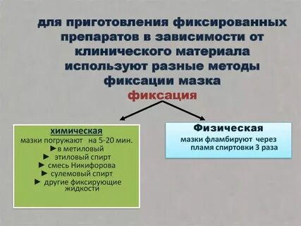 Метод фиксированного мазка