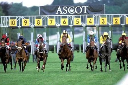 Ascot horse racing