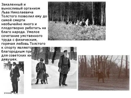 Увлечения льва толстого