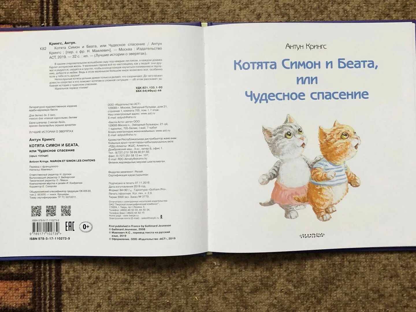 Книга про кота читать. Котенок с книгой. Спасение котёнка книга. Спасите котика книга.