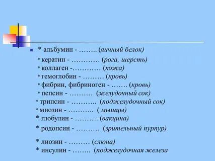 Яичный альбумин какой белок