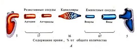 Объемные сосуды