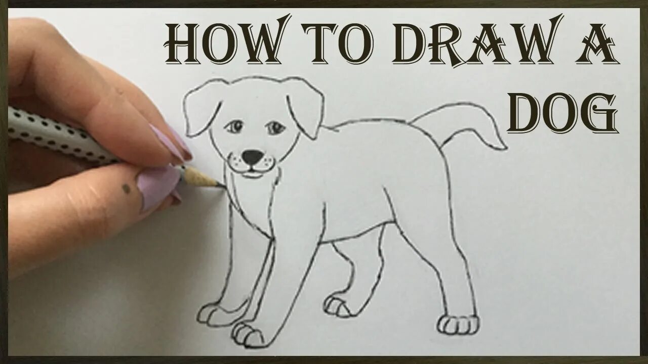 Как рисовать дог дея. How draw Dog. How to draw a Dog. How to draw a Pug Step by Step easy for Kids. How to drawn a Dog.