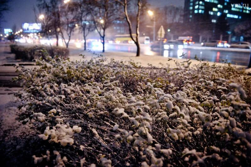 Ноября москва какое будет. Первый снег в Москве. Москва в ноябре. Ноябрь снег Москва. Первый снегопад в Москве.