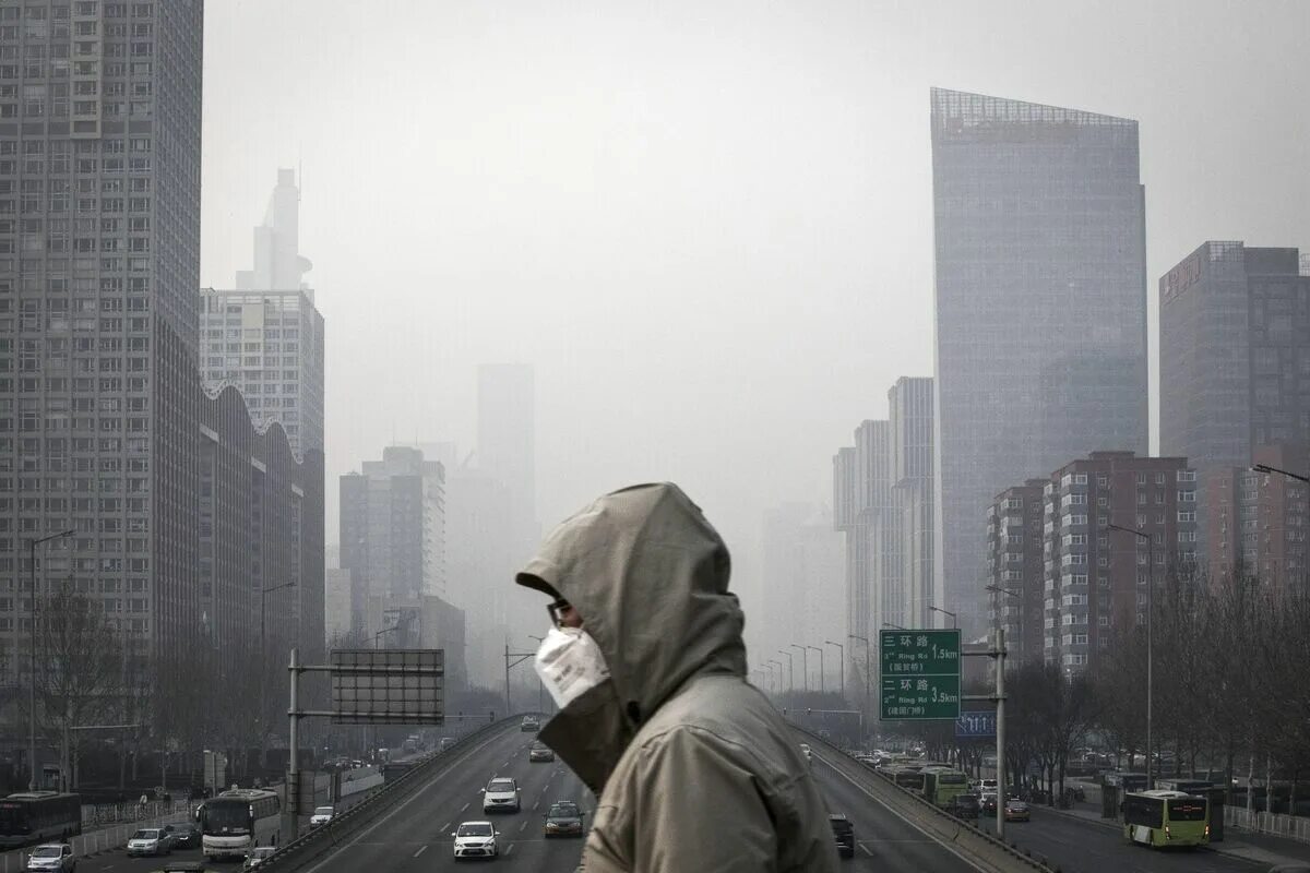 Смог вырасти. Smog под. смог кинг. смог в современном проявлении. смог morph.
