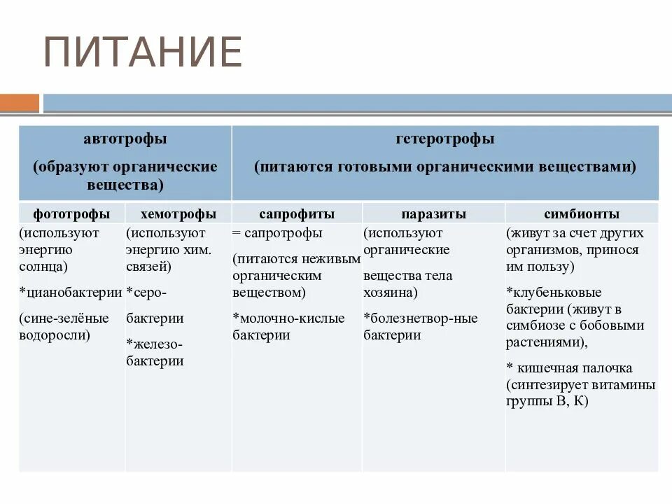 Автотрофный и гетеротрофный. Дрожжи автотрофы или гетеротрофы. Дрожжи Тип питания автотрофный или гетеротрофный. Кишечная палочка Тип питания гетеротрофный или автотрофный. Питание автотрофы или гетеротрофы.