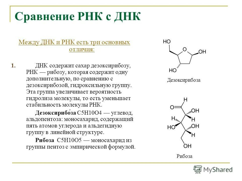 Рнк блокирует. Структура РНК формула. Дезоксирибонуклеиновую кислоту (ДНК); рибонуклеиновую кислоту (РНК).. Рибонуклеиновая кислота формула. Структурная формула РНК.