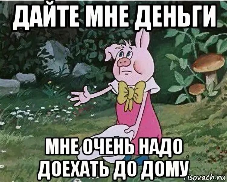 Деньги отправь пожалуйста. Дайте денег пожалуйста. честно честно фунтик. фунтик мем. дай денег.