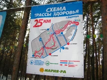 Лыжная трасса здоровье