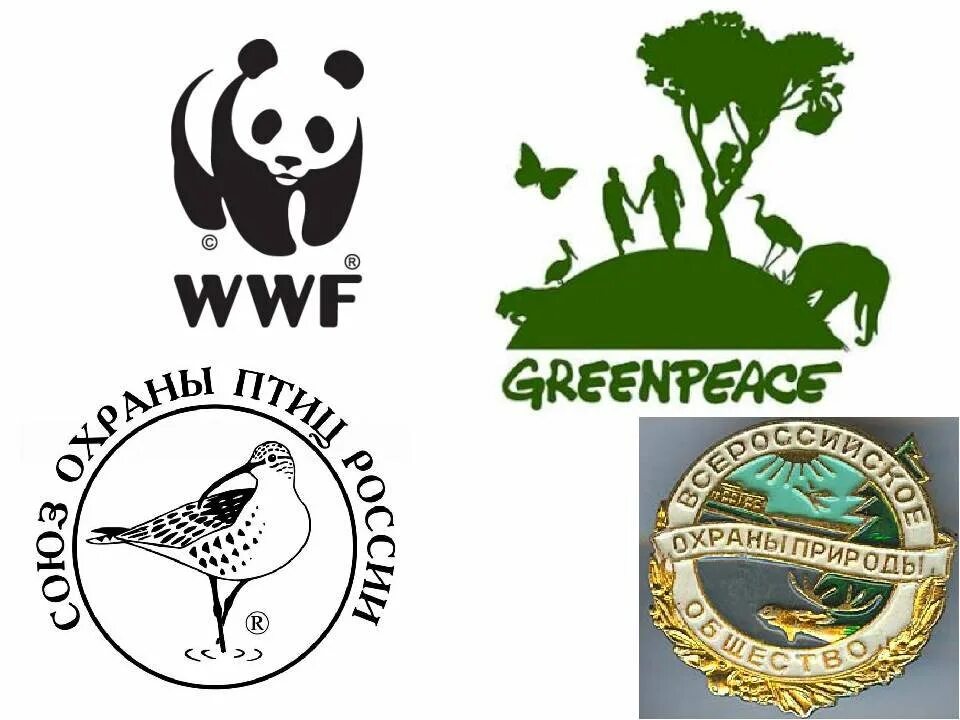 The world wildlife fund is an organization. Эмблемы организаций по защите природы. Компании по защите природы. Организация по защите природы и животных. Организации по охране животных.