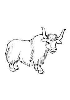 Рисуем яка
