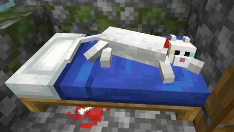 Sleeping minecraft