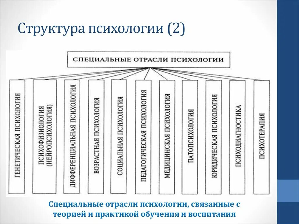 Общая психология кратко. Схема отраслей психологической науки. Классификация отраслей психологии схема. Отрасли психологической науки таблица. Отрасли специальной психологии схема.