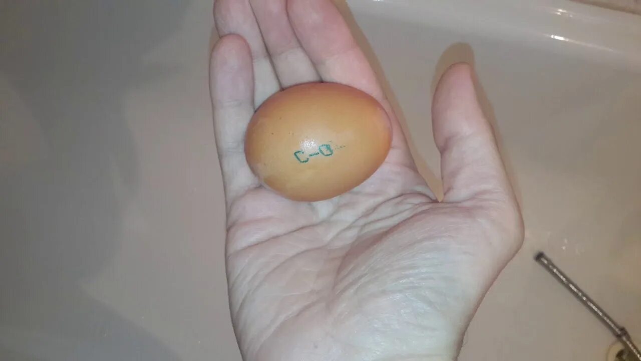 Сжать яйцо в руке. Могущественное яйцо.