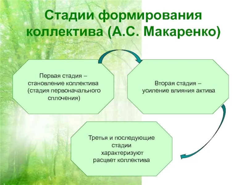 Формирование трудового коллектива. Этапы формирования коллектива. стадии формирования коллектива. этапы формирования трудового коллектива. стадии развития коллектива по макаренко.