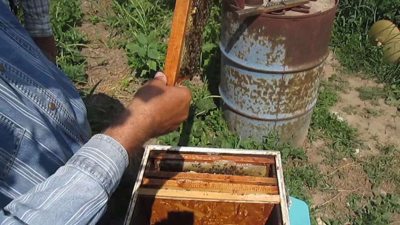 Как сделать отводок пчел самым простым способом. Как сделать отводок пчел весной без матки. Пчеловодство что необходимо. Как сделать отводок из пчелиной семьи без матки весной. Отводок пчел.